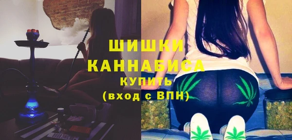 индика Горно-Алтайск