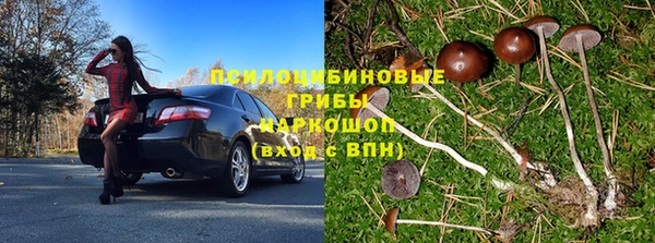 прущая мука Гусев
