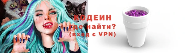 spice Гусиноозёрск