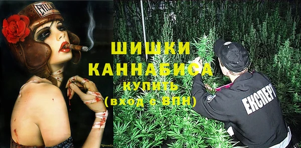 spice Гусиноозёрск