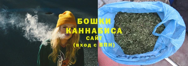 spice Гусиноозёрск