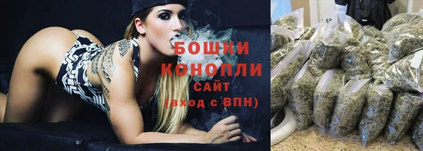 spice Гусиноозёрск